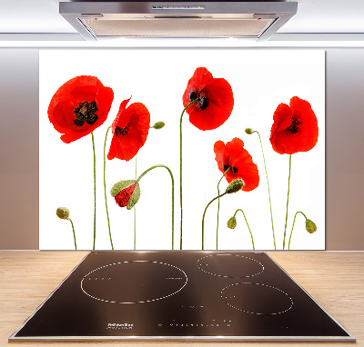 Glasrückwand für die küche Mohnblumen