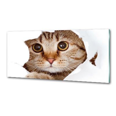 Küchen wandpaneel Katze