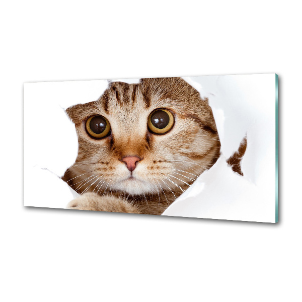 Küchen wandpaneel Katze