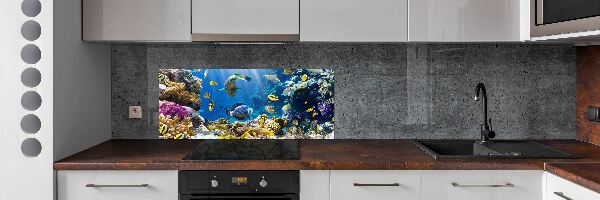 Glasrückwand für die küche Korallenriff