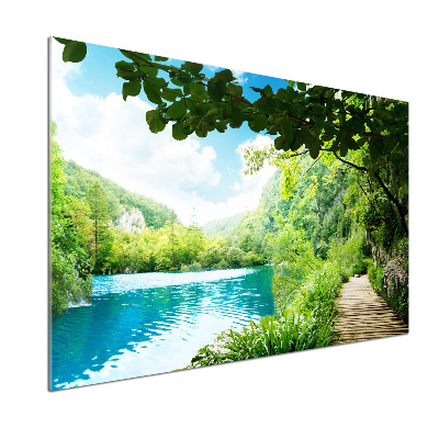 Platte für Küchenrückwand Wasserfall im Wald