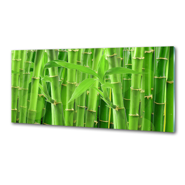 Platte für Küchenrückwand Bambus