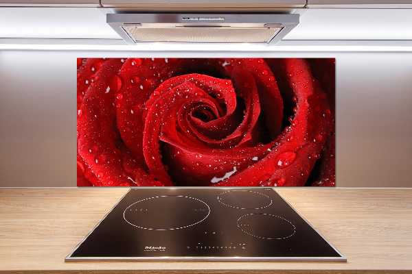 Glasrückwand für die küche Tropfen auf einer Rose