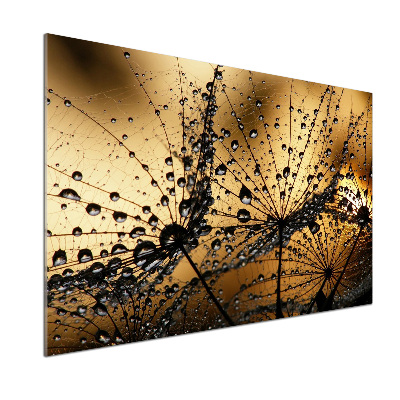 Platte für Küchenrückwand Löwenzahnsamen