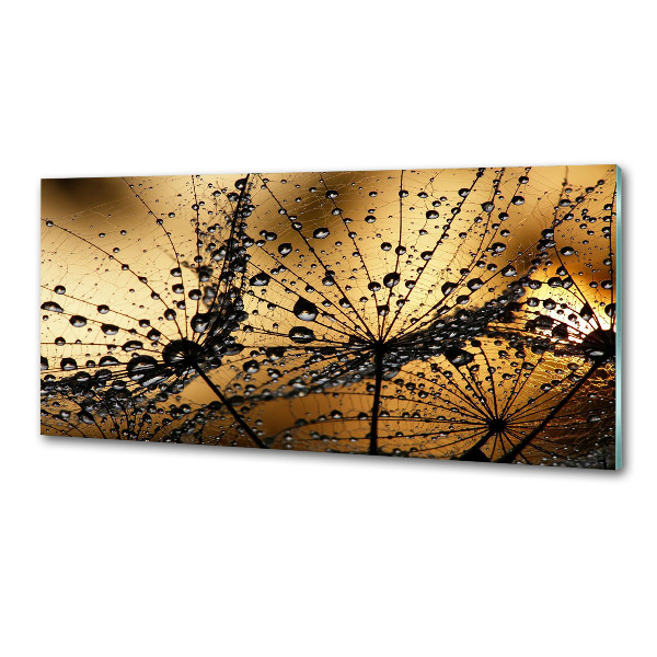 Platte für Küchenrückwand Löwenzahnsamen