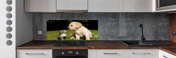 Platte für Küchenrückwand Hund und Katze auf der Wiese