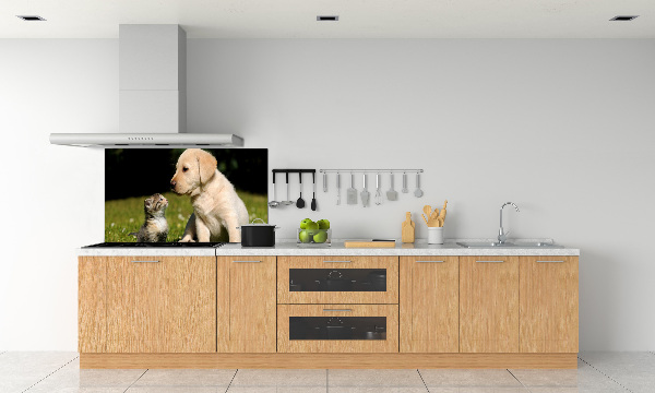 Platte für Küchenrückwand Hund und Katze auf der Wiese