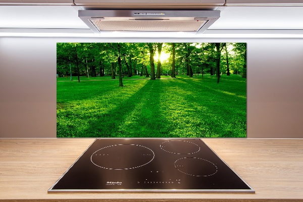 Platte für Küchenrückwand Gras im Park