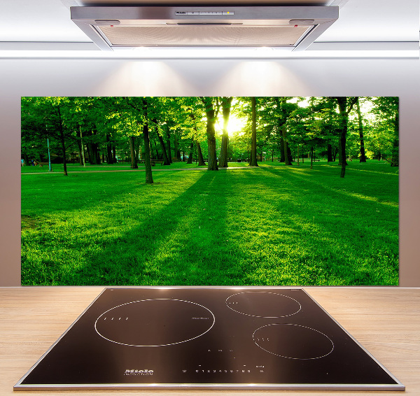 Platte für Küchenrückwand Gras im Park