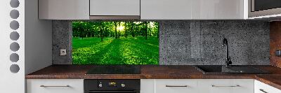 Platte für Küchenrückwand Gras im Park