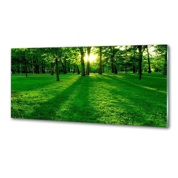 Platte für Küchenrückwand Gras im Park