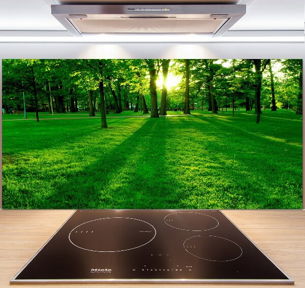 Platte für Küchenrückwand Gras im Park