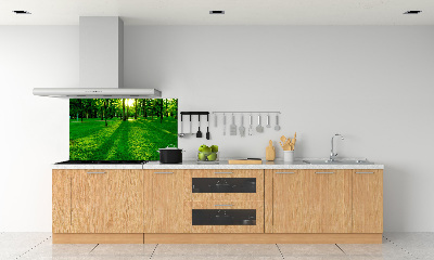 Platte für Küchenrückwand Gras im Park