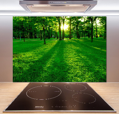 Platte für Küchenrückwand Gras im Park