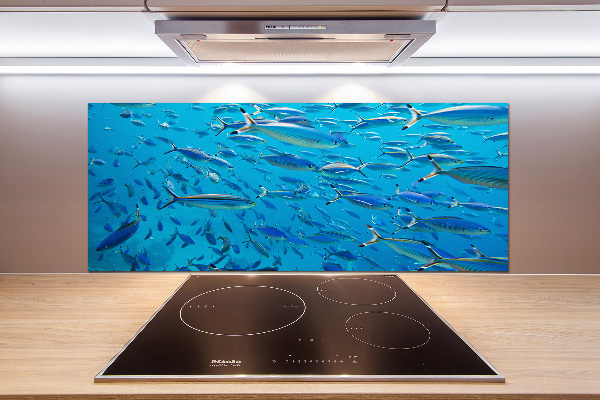 Küchen wandpaneel Korallenfische