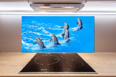 Glasrückwand für die küche Delfine