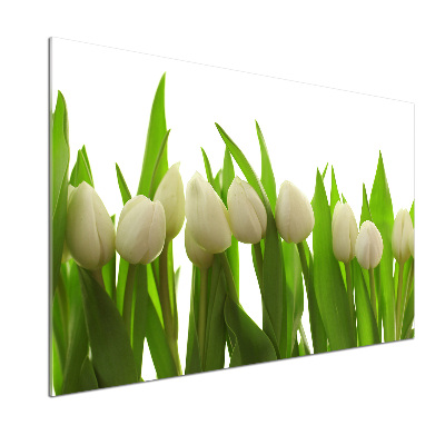 Glasrückwand für die küche Weiße Tulpen
