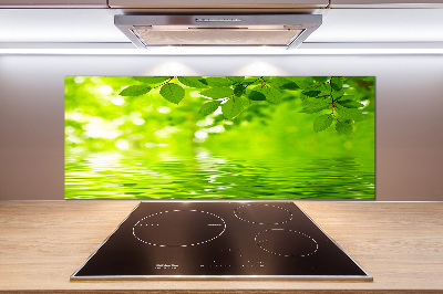 Platte für Küchenrückwand Grüne Blätter