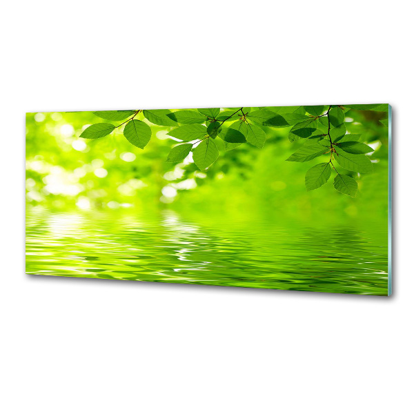 Platte für Küchenrückwand Grüne Blätter