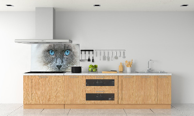 Platte für Küchenrückwand blauäugige Katze