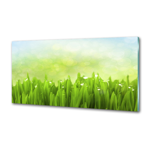 Glasrückwand für die küche Gras