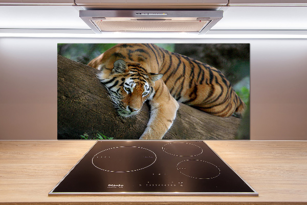 Glasrückwand für die küche Tiger auf einem Baum