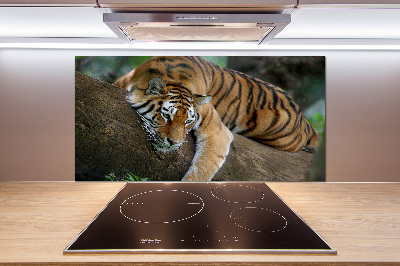 Glasrückwand für die küche Tiger auf einem Baum