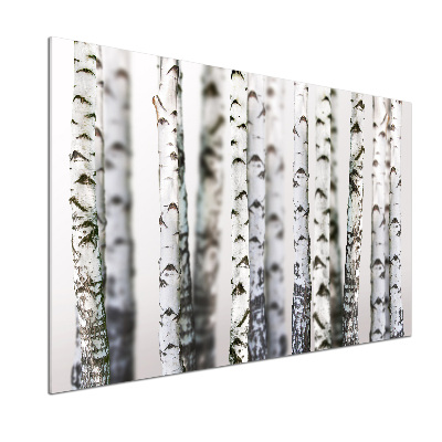 Platte für Küchenrückwand Birkenstämme