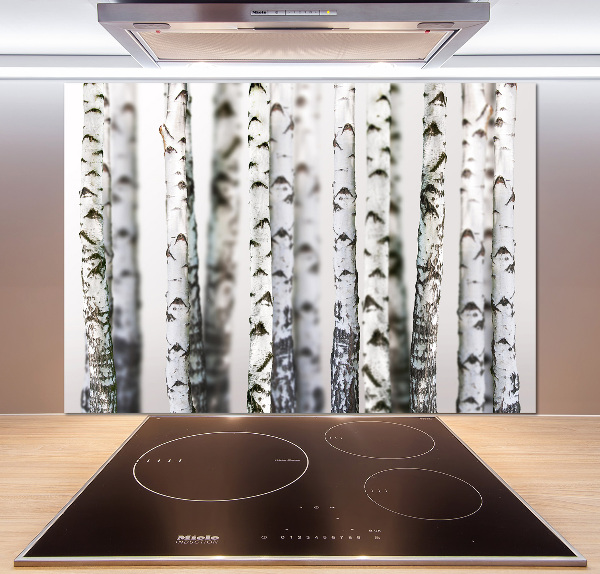 Platte für Küchenrückwand Birkenstämme