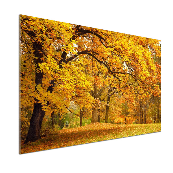 Küchen wandpaneel Herbst im Park