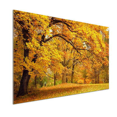 Küchen wandpaneel Herbst im Park