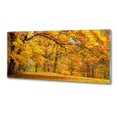 Küchen wandpaneel Herbst im Park