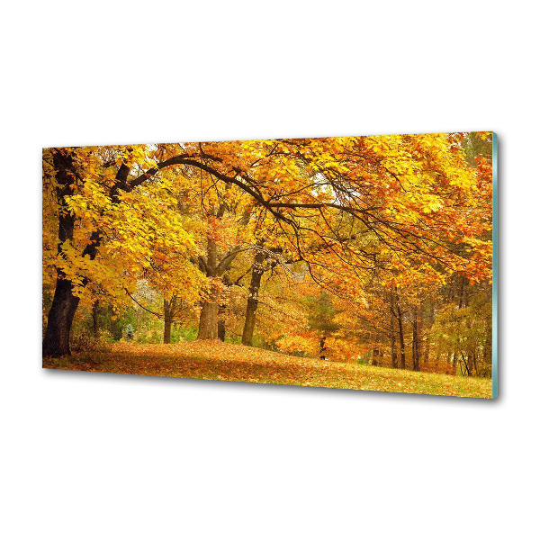 Küchen wandpaneel Herbst im Park