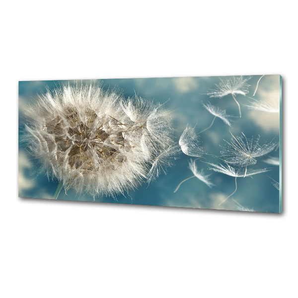 Platte für Küchenrückwand Löwenzahn