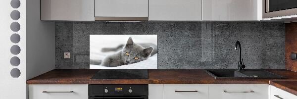 Küchen wandpaneel Graue Katze