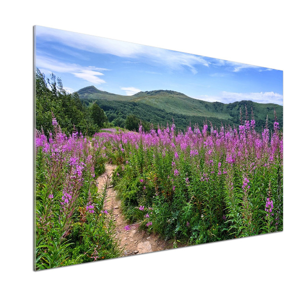 Platte für Küchenrückwand Grüne Hügel