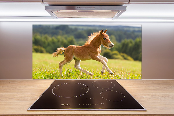 Platte für Küchenrückwand Ein galoppierendes Fohlen