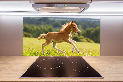 Platte für Küchenrückwand Ein galoppierendes Fohlen