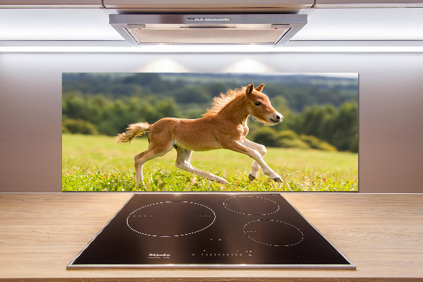 Platte für Küchenrückwand Ein galoppierendes Fohlen