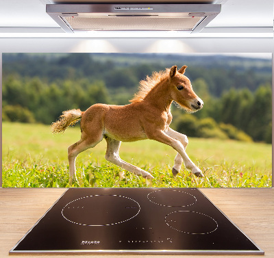 Platte für Küchenrückwand Ein galoppierendes Fohlen