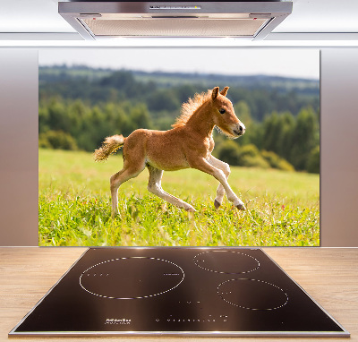 Platte für Küchenrückwand Ein galoppierendes Fohlen
