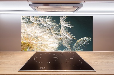 Platte für Küchenrückwand Löwenzahnsamen