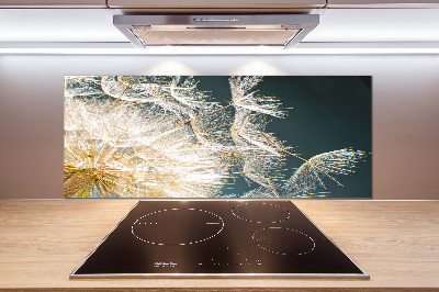 Platte für Küchenrückwand Löwenzahnsamen