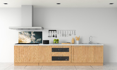 Platte für Küchenrückwand Löwenzahnsamen