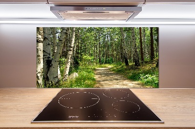 Glasrückwand für die küche Pfad im Wald