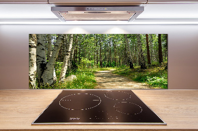 Glasrückwand für die küche Pfad im Wald