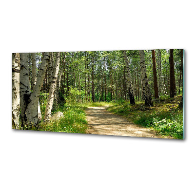 Glasrückwand für die küche Pfad im Wald