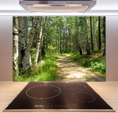 Glasrückwand für die küche Pfad im Wald