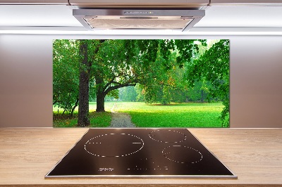 Glasrückwand für die küche Park im Herbst