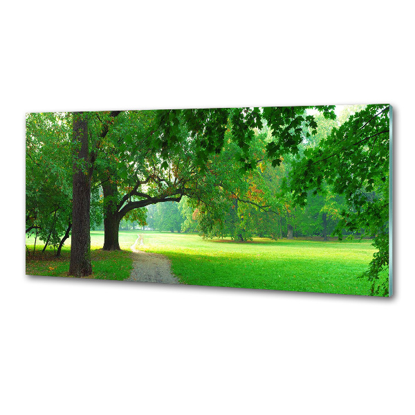 Glasrückwand für die küche Park im Herbst